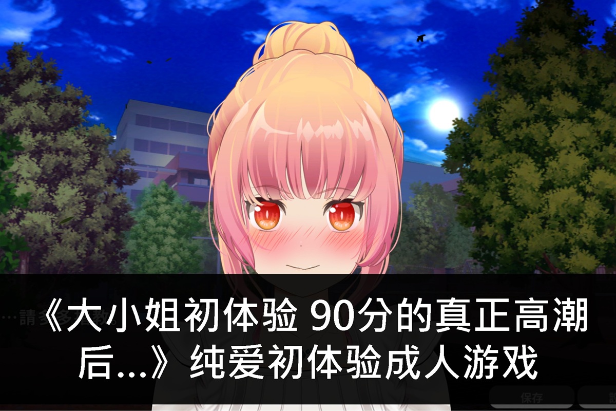 《大小姐初体验 90分的真正高潮后…》纯爱初体验成人游戏