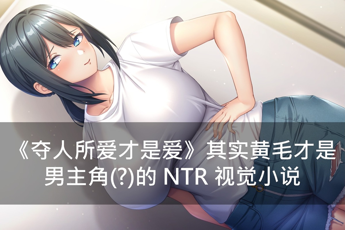 《夺人所爱才是爱》其实黄毛才是男主角(?)的 NTR 视觉小说