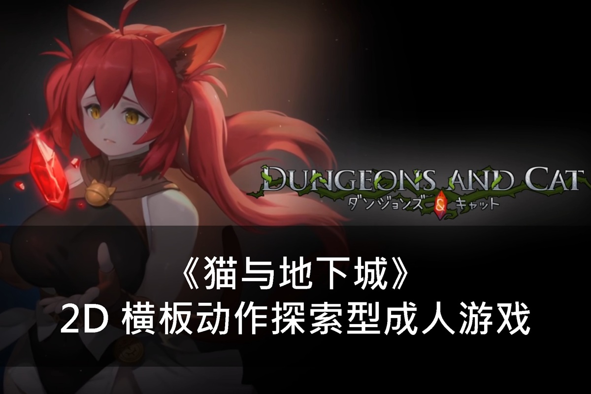 《猫与地下城》2D 横板动作探索型成人游戏